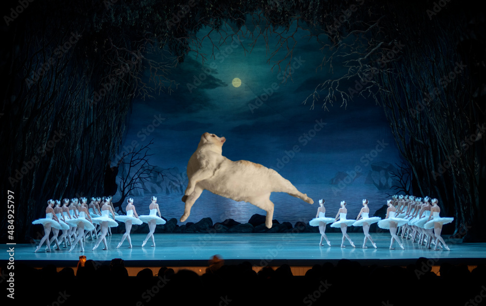 A white cat edited to look like he is giant and leaping across the stage of a ballet, with ballerinas in white on either side of him.
