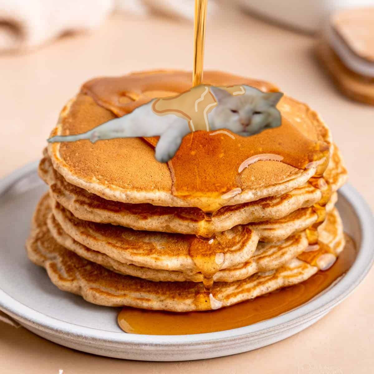 A stack of pancakes with a tiny white cat on top. Syrup is being poured over the stack of pancakes and the cat.