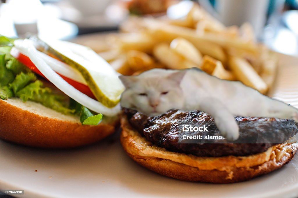 A burger with the top bun off. A white cat is lying on top of the burger patty.
